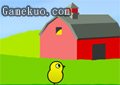 小鴨子的生活3